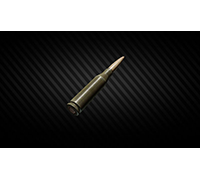 Escape From Tarkov Items PC 5.45x39mm BS gs x2940