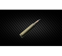 Escape From Tarkov Items PC 5.56x45mm M995 x2940