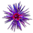 POE Currency PC Blessing of Chayula