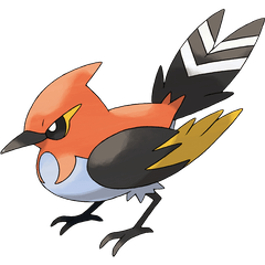 Pokemon Switch Fletchinder